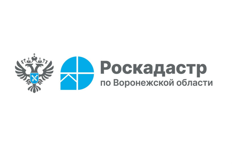 Роскадастр расскажет воронежцам о проведении комплексных кадастровых работ.